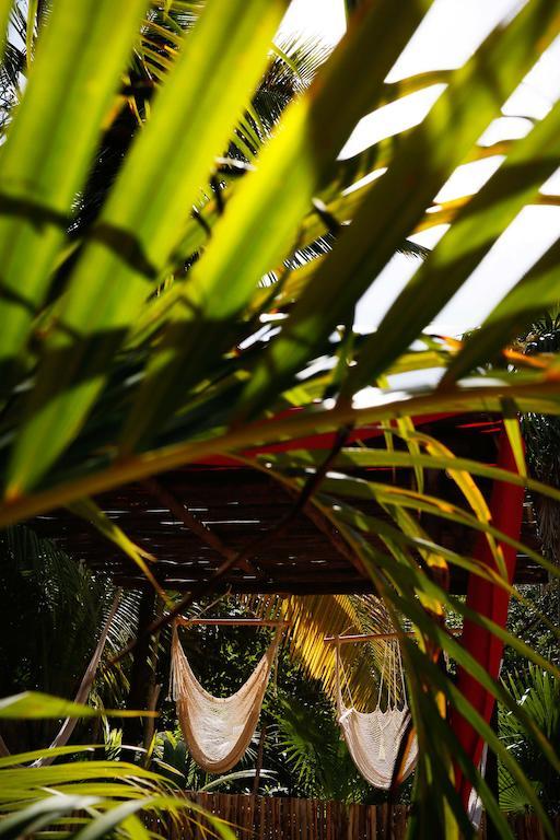 Casa Selva De Luz Apartman Tulum Kültér fotó